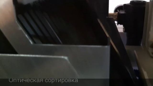 Переработка кедрового ореха смотреть онлайн