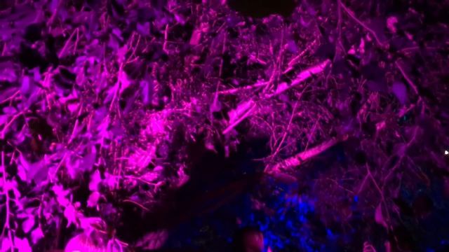 ЧЕТЫРЕ ДНЯ - ЧЕТЫРЕ НАРЯДА (плюс бонус) смотреть онлайн