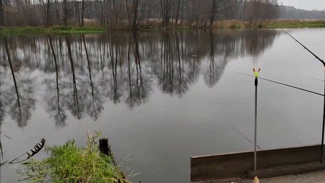 Рыбалка на фидер в Беларуси . Деревня Ремонтёр. Осиповичи вдх. смотреть онлайн