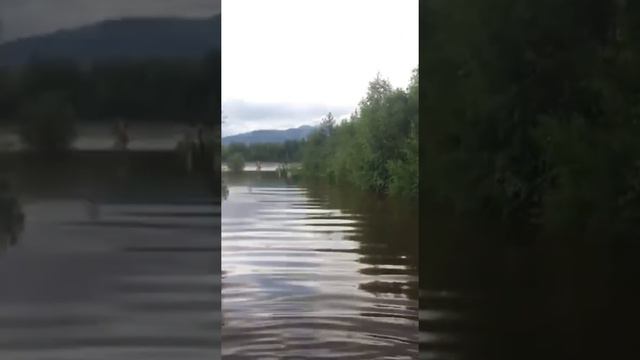 Северомуйск . 09.07.18 смотреть онлайн