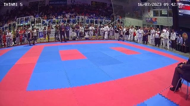 11th WORLD KARATE CHAMPIONSHIPS / WUKF смотреть онлайн