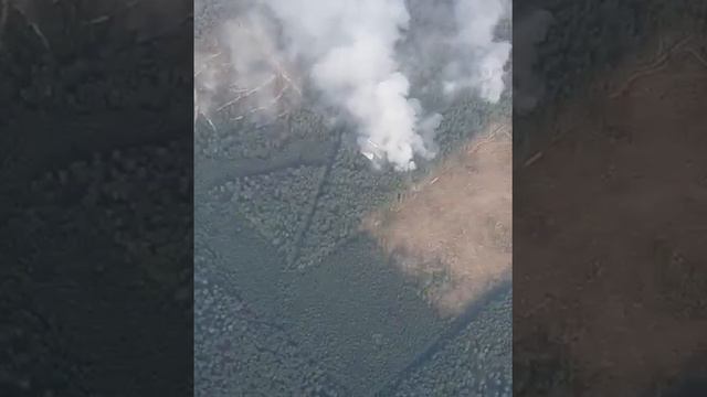 Видео с вертолета, который тушит лесной пожар в Марий Эл смотреть онлайн