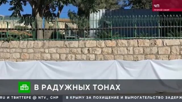 Посольство в модных тонах смотреть онлайн