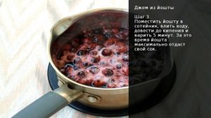 Джем из йошты . Рецепт от шеф повара Максима Григорьева
