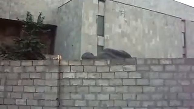 Каменское. Судьба снесённых памятников после декоммунизации. смотреть онлайн