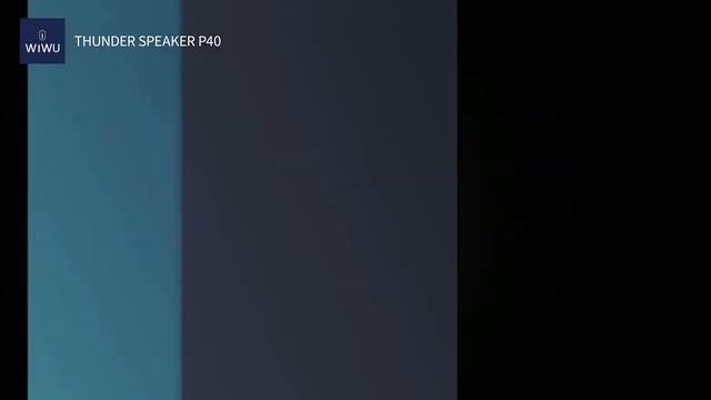 wiwu P40 смотреть онлайн