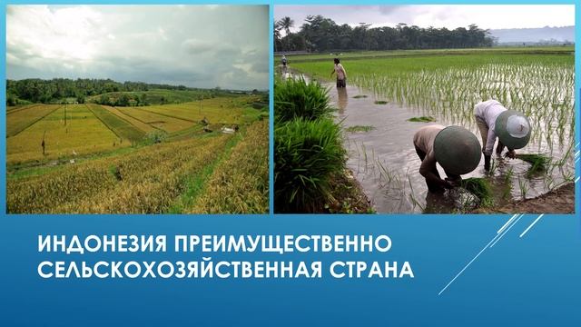 28 05 2020 география 7класс ЗолотоваН А смотреть онлайн