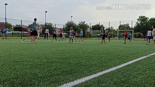 Тренировка тхэквондо подготовка до здачи на пояс. смотреть онлайн