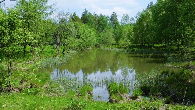 4K Scenic Nature Film - Beautiful Nature Of South Ural From Above And From Earth