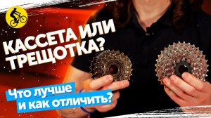 КАССЕТА или ТРЕЩОТКА? Как отличить? Что лучше?