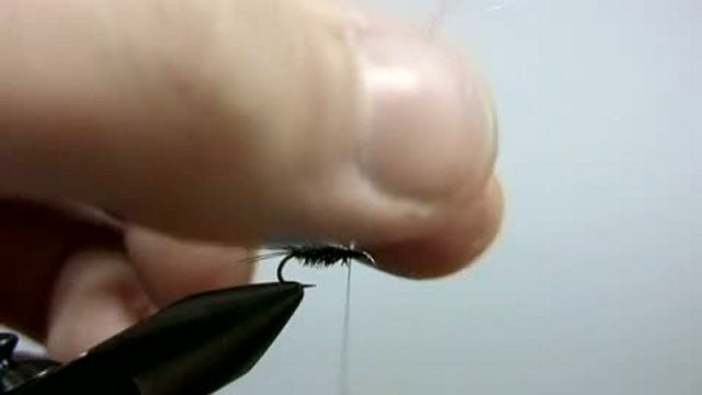 Нахлыст. Вязание мушки Peacock Midge