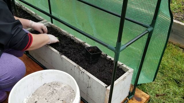 ЭКСПЕРИМЕНТ / Высаживаем огурцы в теплицу в теплую грядку 12 Апреля /Ночью на улице + 4 С. смотреть онлайн