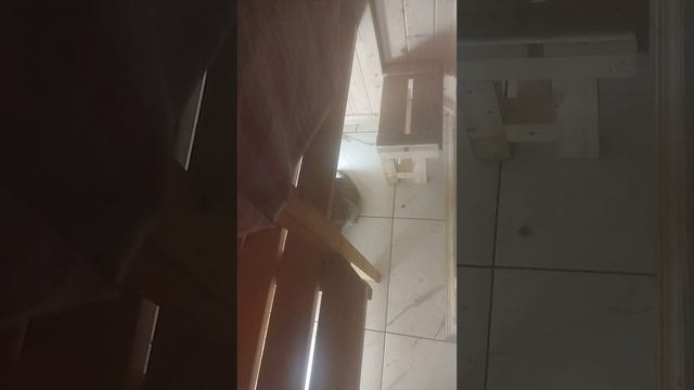 Васька в сауне ЧАСТЬ 2 #shorts смотреть онлайн