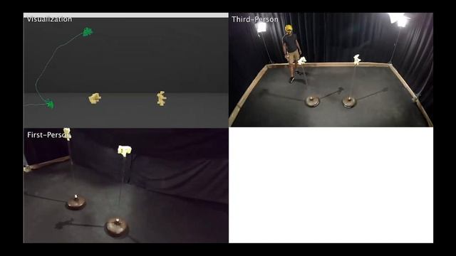 VISCA 2021 The ‘Why’ and ‘How’ of Attentional Control for Visuospatial Behavior смотреть онлайн