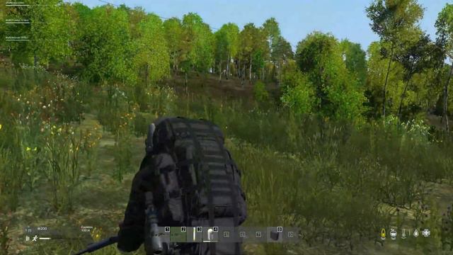 ЗоС Головного Мозга | Dayz #dayzstandalone  #zos #dayz