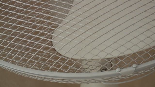 Стройка Успеха