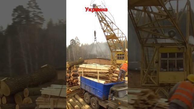 Беречь лес нужно не от пожара, а от человека. смотреть онлайн