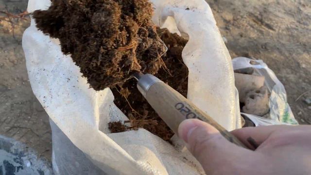 用一年时间在不透气的白瓷盆里把铁线莲养爆根 смотреть онлайн