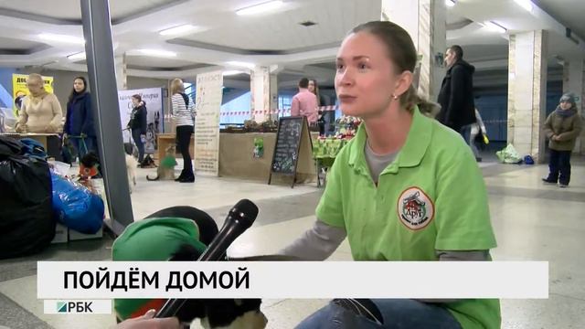 Пойдем домой смотреть онлайн