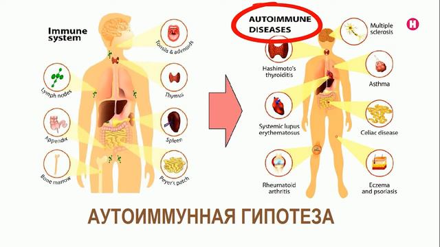 Научные теории старения человека смотреть онлайн