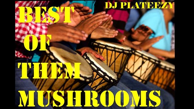 BEST OF THEM MUSHROOMS смотреть онлайн