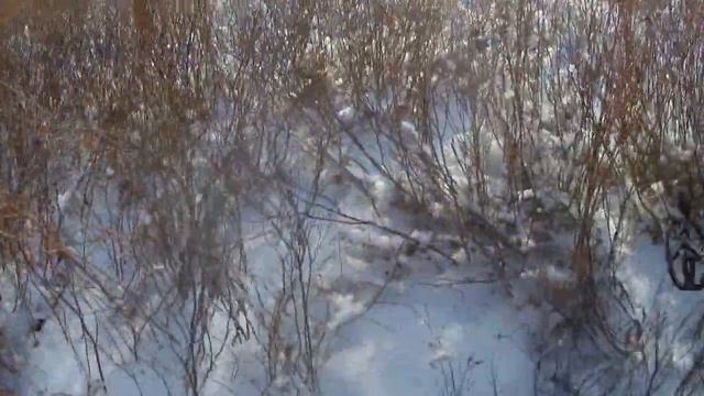 ЧТО МНЕ СНЕГ,ЧТО МНЕ ЗНОЙ, КОГДА МЕТАЛЛОИСКАТЕЛЬ МОЙ СО МНОЙ смотреть онлайн