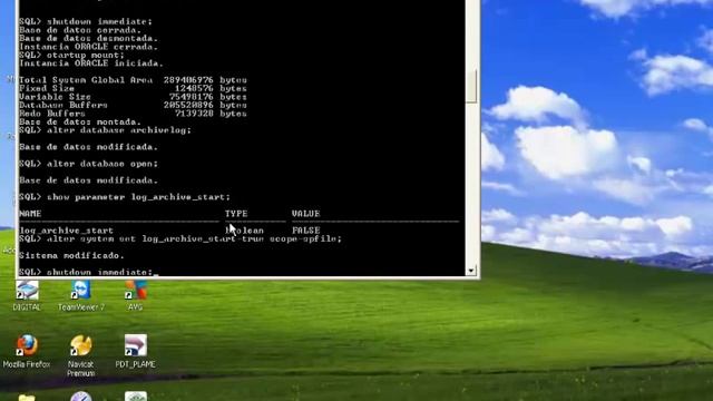 Realizar copia de seguridad en Oracle con RMAN смотреть онлайн