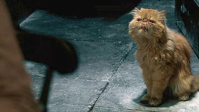 ВСЕ ОТСЫЛКИ В ХОГВАРТС ЛЕГАСИ смотреть онлайн