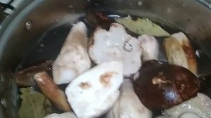 Засолка белых грибов. Проверка рецепта.