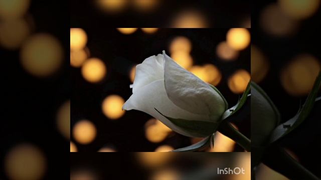 @СЛОВА.Поезія Валентини Захарової (Дежа Брют),муз.і виконання Валентини Слуквіної смотреть онлайн