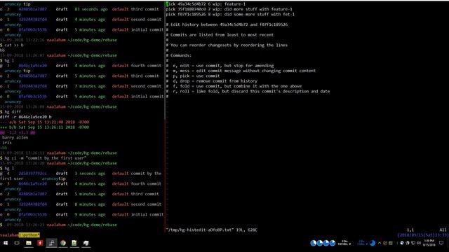 Editing changeset history with Mercurial DVCS (No audio) смотреть онлайн