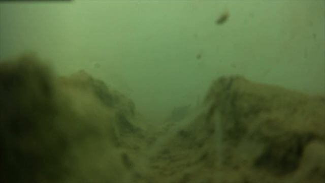 Nesika & Rockaway Surf Rod! GT, Bonefish, Ray, Shark Strikes! смотреть онлайн