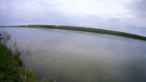 Ловля судака на резинку летом| Самая уловистая снасть| Рыбалка на судака сезон 2021|