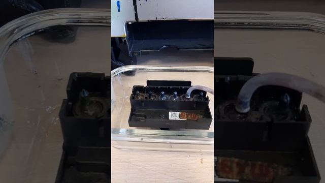 Промывка/прочистка печатающей головы принтера epson 1410, l1800 и других моделей. смотреть онлайн