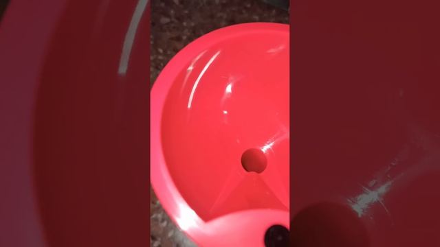 КАК БЫСТРО УДАЛИТЬ НАЛЕТ ОТ ВОДЫ #shorts Ты Точно Об Этом Не Знал! смотреть онлайн