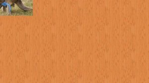 Карточки  Домана Часть 3 Животные мира!