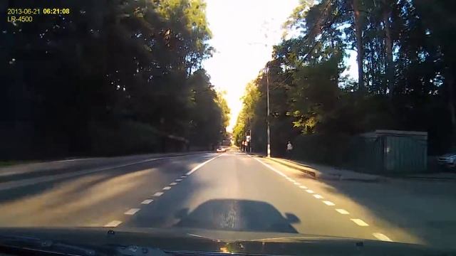 Лось в Мытищах / Elk in the Mytischy смотреть онлайн