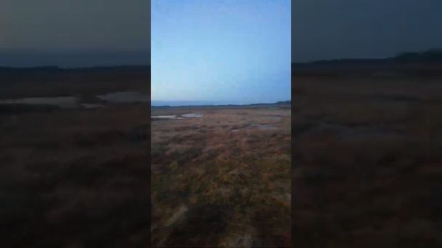 Скрадок на болоте для охоты на гуся? смотреть онлайн