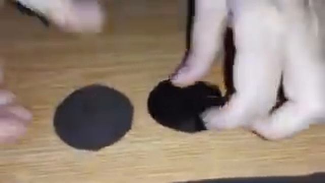 Занятия 33-34. Тема. Хризантема из кожи. Заготовка деталей. 09.06.2020 год смотреть онлайн