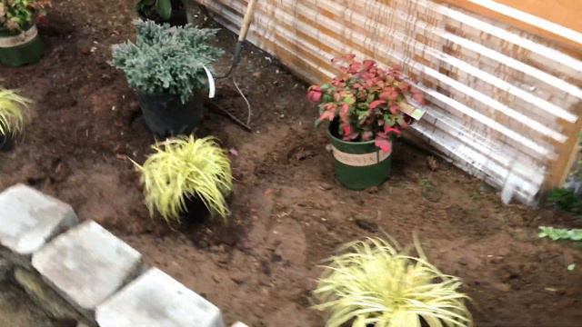 Annual Flowers and Plants Planting in Spring смотреть онлайн