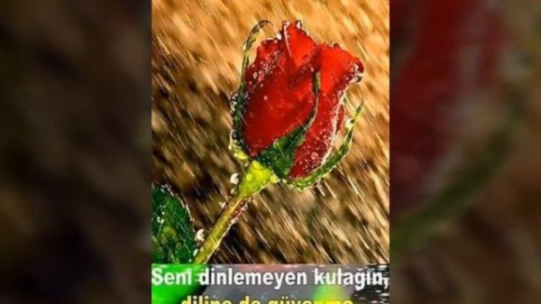 ❤İyiki Varsın Bitanem❤