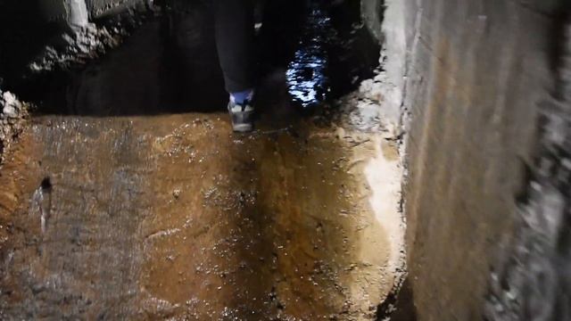 Зубы Шурале Осень Прибытие смотреть онлайн