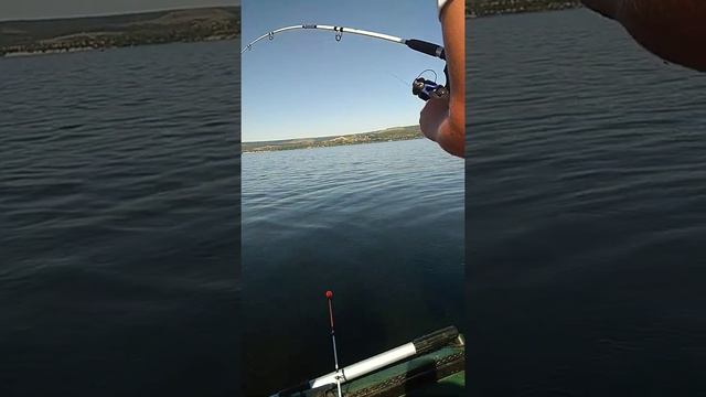 Сом на глубине 17 м.,с лодки?? смотреть онлайн