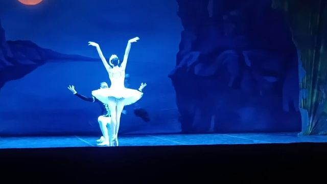 Лебединое озеро смотреть онлайн