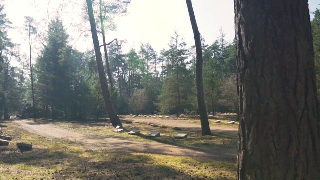 КТО такие МЕНТАЛЬНО СИЛЬНЫЕ ЛЮДИ и как СТАТЬ таким ЧЕЛОВЕКОМ? смотреть онлайн