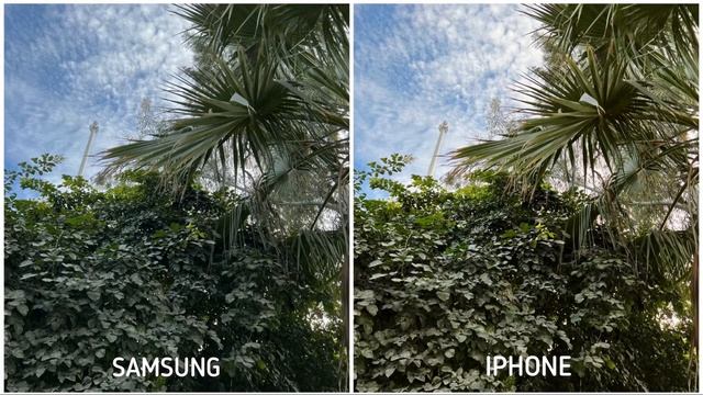 Samsung Galaxy S23 Plus vs iPhone 14 Plus Camera Test смотреть онлайн