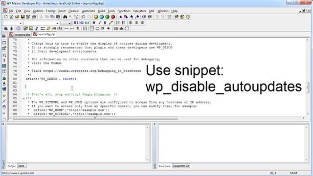 Disable WordPress Auto-updating