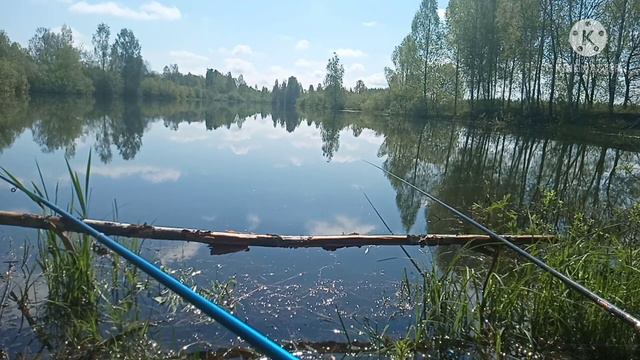 Я ненавижу тесто... Рыбалка на карася. Не крупный карась смотреть онлайн