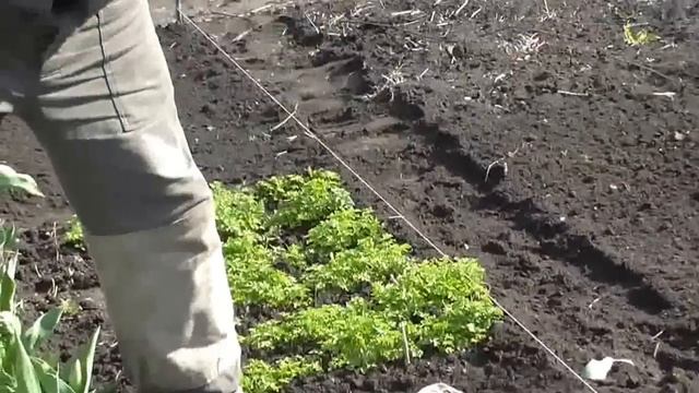 DIY Мастерская