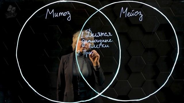 Мейоз, его фазы. Сравнение митоза и мейоза. смотреть онлайн